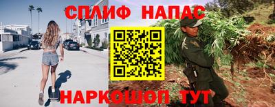 сатива Рыбинск